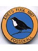 Fossekall pin