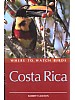 Where to Watch Birds in Costa Rica