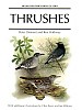Thrushes