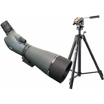 Focus Outlook 20-60X80 WP