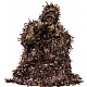Lvcamoponcho 3D lv Realtree Xtra