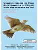 Bird Sounds in Flight