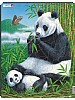 Puslespill - Panda