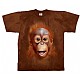 T-Skjorte Orangutangbarn str. barn 10 år  (140)