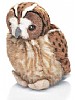 Kattugle