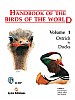 Handbook of the Birds of the World, vol. 1.