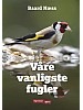 Vre vanligste fugler