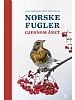 Norske fugler gjennom året