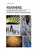 Feathers