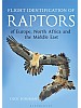 Flight Identification of Raptors