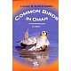 Common Birds in Oman