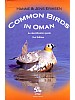 Common Birds in Oman