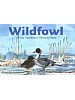 Wildfowl of the Northern Hemisphere