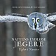 Nattens lydlse jegere