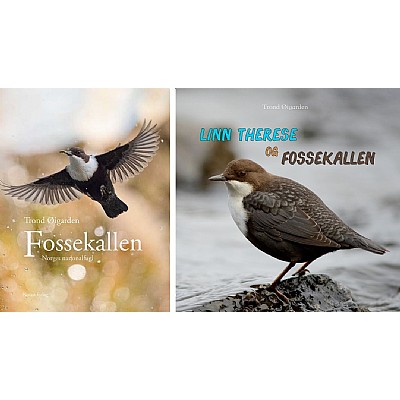 Fossekallen
