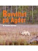 Rovviltet p Agder