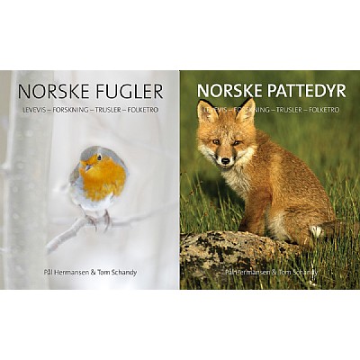 Norske pattedyr