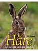The Hare