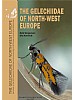 The Gelechiidae of North-west Europe