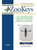 An illustrated key to the cuckoo wasps (Hymenoptera, Chrysididae) of the Nordic and Baltic countries, with description of a new species