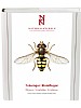 Tvvingar: Blomflugor. Syrphidae: Syrphinae