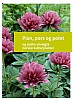Pion, pors og potet