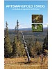 Artsmangfold i skog