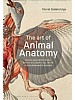 The Art of Animal Anatomy