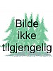 Lista Fuglestasjon rsrapport 1994