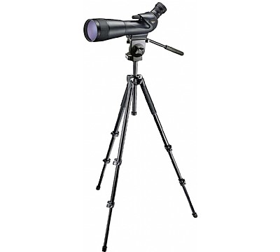 Nikon Prostaff 5 Fieldscope 82mm teleskopsett